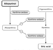 Gout