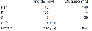 Ion potential