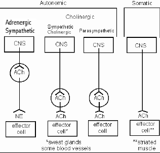 Pharm signal