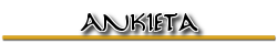 Ankietanag