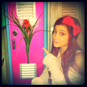 Lockers Victorious Wiki Fandom