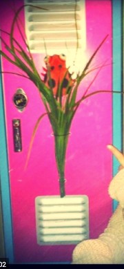 Cat'slocker