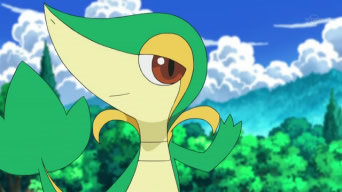 Image - Ash Snivy anime.png | Victory Road Wiki | FANDOM powered by Wikia