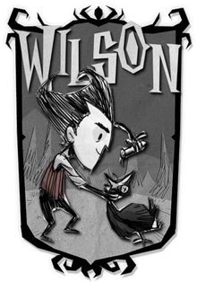 Wilson DST
