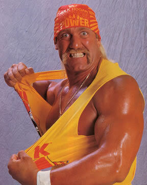 Hulk Hogan | Video Game Championship Wrestling Wiki | Fandom