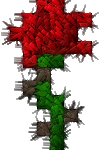 RoseWarriorsRose