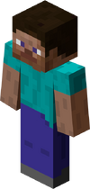 Minecraft gracz