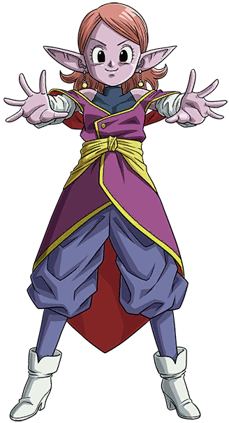 Supreme Kai Of Time Videogaming Wiki Fandom