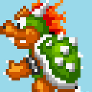 Bowser Videogaming Wiki Fandom