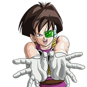 Fasha Videogaming Wiki Fandom