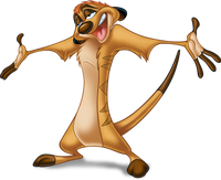 Timon