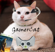 Gamercat