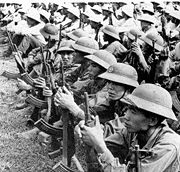 PAVNforces