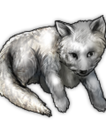 Arctic Fox Pup Vikingclan Wiki Fandom