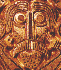 Vikhed14