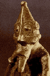 Vikhed11