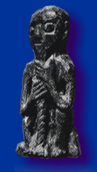 Vikhed10