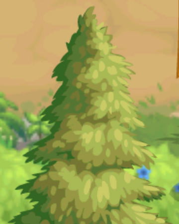 scots pine village life wiki fandom village life wiki fandom