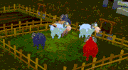 Tierzucht3