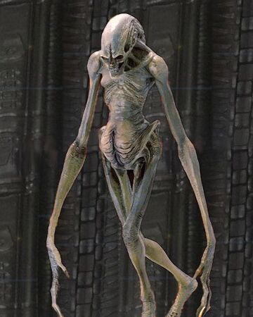 Newborn Villains Wiki Fandom
