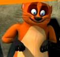 Stacy-Badger