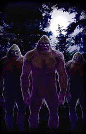 Maricoxi Villains Wiki Fandom Maricoxi Villains Wiki Fandom