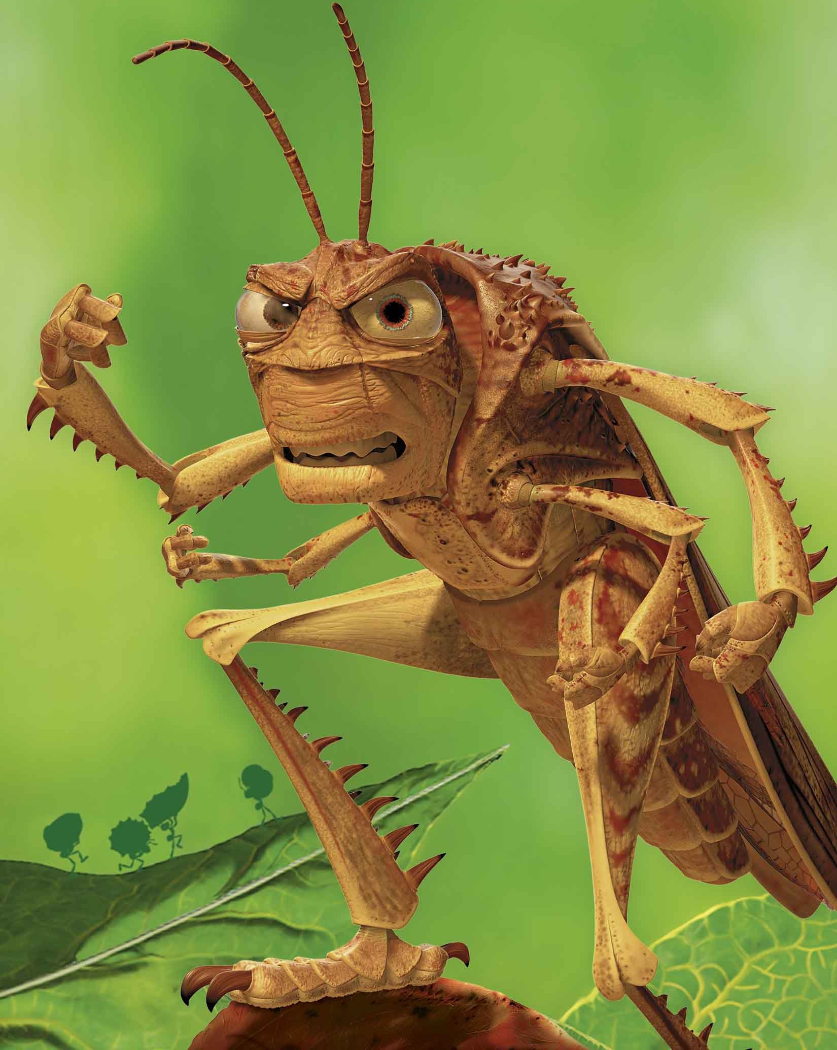 qfeed hopper qfeed hopper