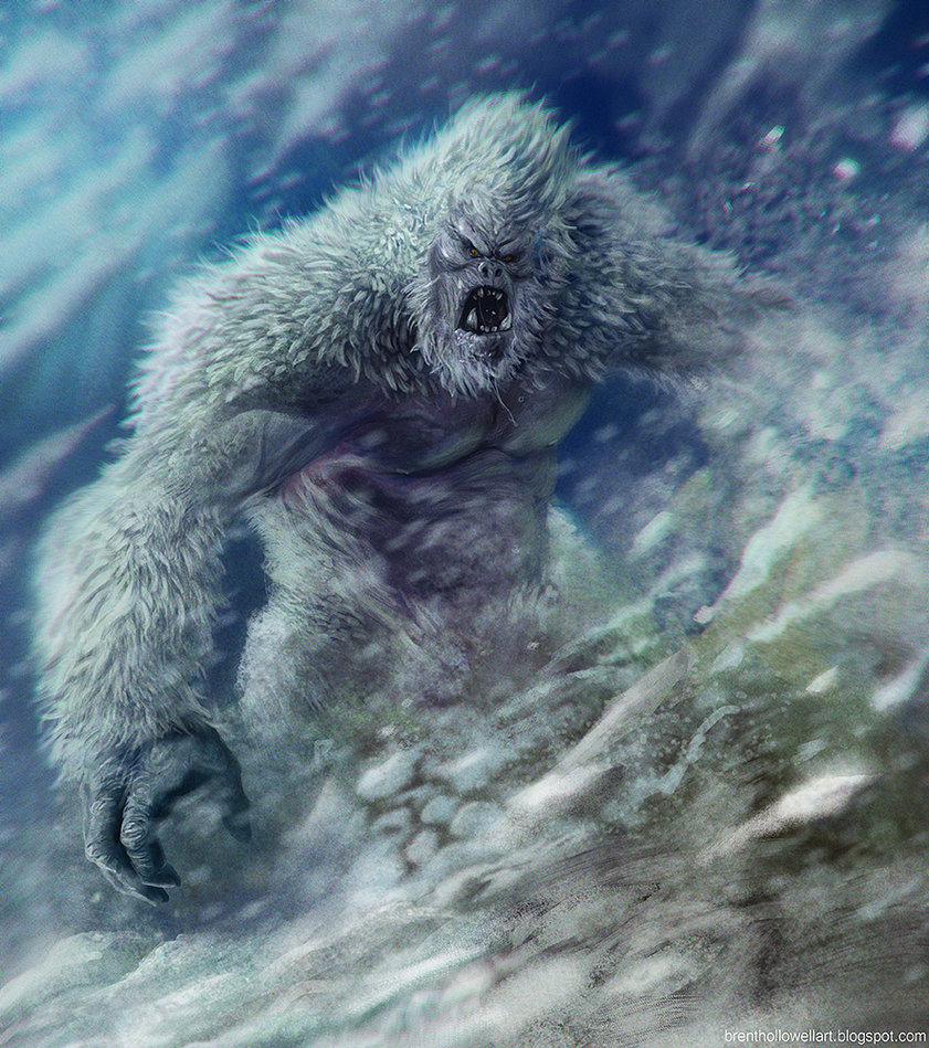 yeti crypto