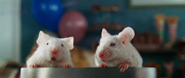 mice hitchhiker s guide to the galaxy villains wiki fandom