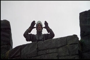 Your mother was a hamster, and your father smelled of elderberries!