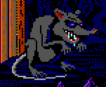 Giant Rat