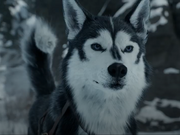 Spitz 2020 Villains Wiki Fandom