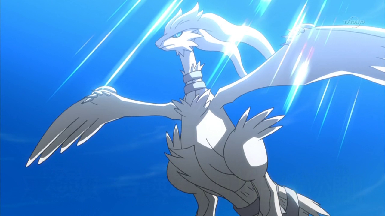 reshiram model