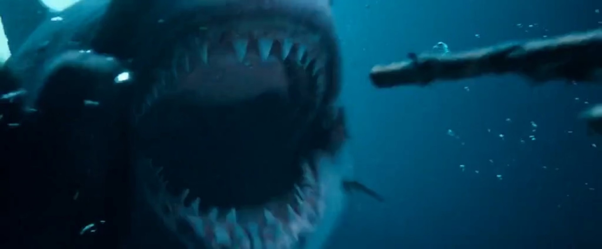 image the shallows 12125601910 jpg villains wiki fandom the shallows shark size