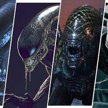 Xenomorphs Gallery Villains Wiki Fandom