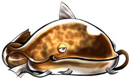 260px-Namazu