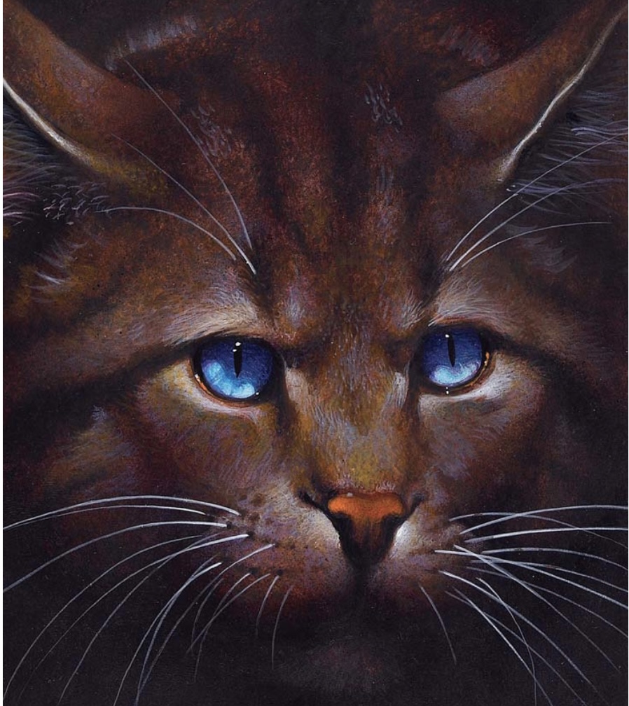 Hawkfrost | Villains Wiki | FANDOM powered by Wikia