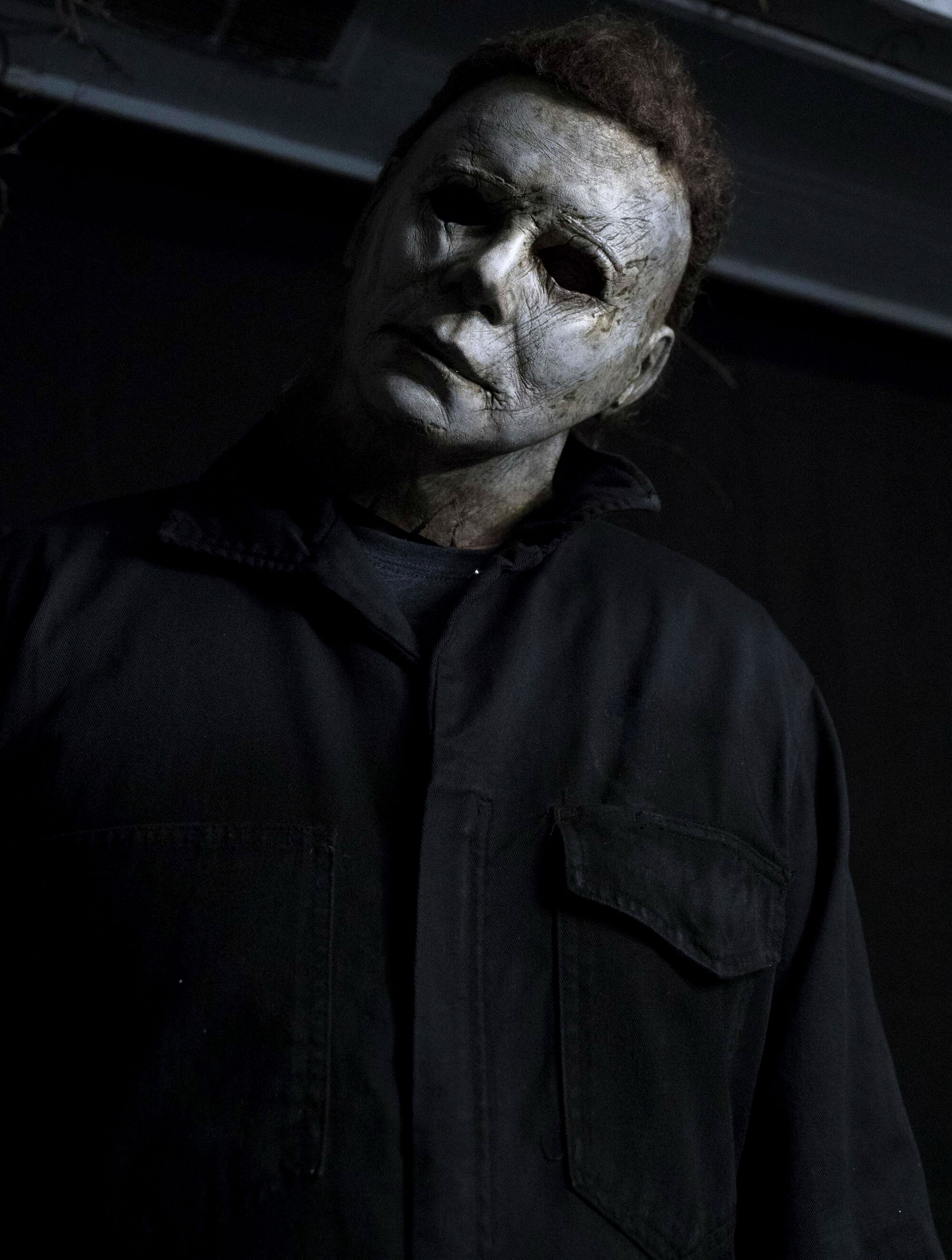 Michael Myers (original) | Villains Wiki | FANDOM powered by Wikia