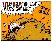 Leaf Pile eats Calvin