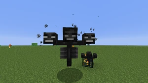 Wither  Villains Wiki  FANDOM powered by Wikia