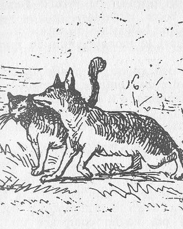 The Fox The Cat Villains Wiki Fandom
