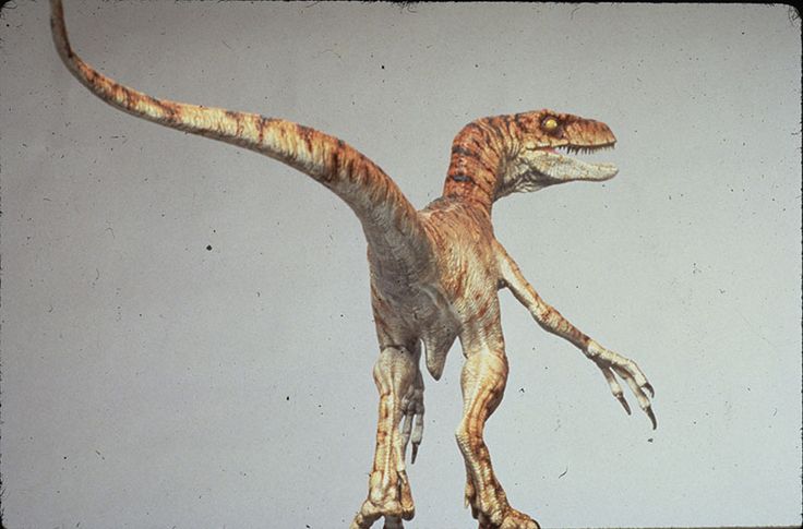 lost world velociraptor