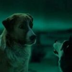Spitz 2020 Villains Wiki Fandom