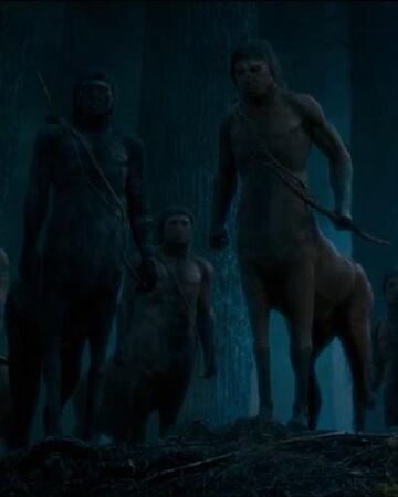 Centaurs In Harry Potter Names