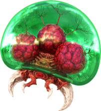 Picture of an alien from the Metroid game series