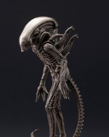 Alien 1979 Xenomorph Drone