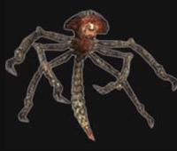 Infestant