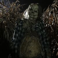 Scary Stories To Tell In The Dark Scarecrow Story