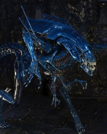 Xenomorph Queen Villains Wiki Fandom