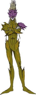Karehan Fullbody